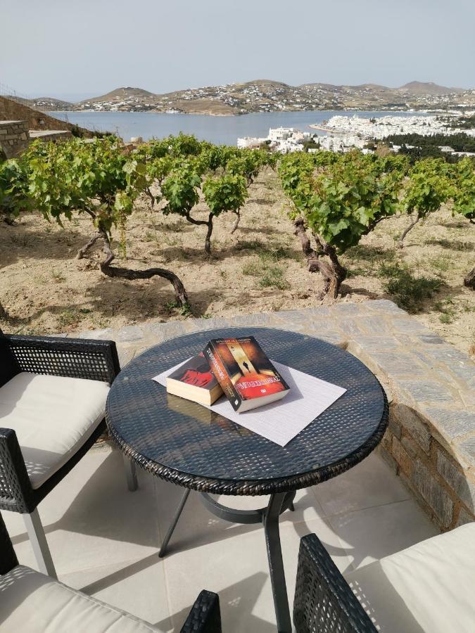 Wonderful Sea View Villa Parikia  Exterior photo
